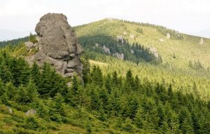 Misterele Muntilor Calimani: descoperirea unor pietre gravate cu insemne necunoscute !