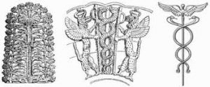Read more about the article Oamenii de ştiinţă din Kazahstan au ajuns la concluzia că ADN-ul uman a fost codat cu un semnal extraterestru, de către o civilizaţie antică