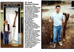 Read more about the article Istoria uriașilor de pe Pământ