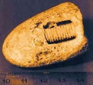 Read more about the article Șurub vechi de 300 de milioane de ani descoperit într-o piatră, în Rusia, a uimit oamenii de știință