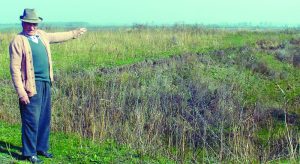 Read more about the article Uriașii de la Argedava (Giurgiu)