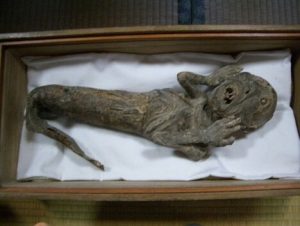 Read more about the article Sirena mumificată din templul Karukayado din Hashimoto, Japonia