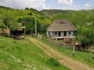 Read more about the article Uriașii din satul Firijba, județul Vâlcea, care au trăit în vechime
