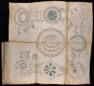 Read more about the article Manuscrisul Voynich – o scriere misterioasă, într-un alfabet necunoscut şi fără corespondent în istorie, imagini ale unor plante inexistente pe Pământ