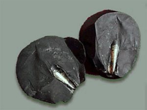 Read more about the article OOPART: Artefact vechi de milioane de ani cu origini necunoscute