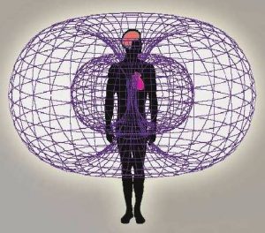 Read more about the article Al șaselea simț: Oamenii au capacitatea de a detecta câmpul magnetic al Pământului