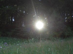 În Munţii Carpaţi există portaluri către alte lumi