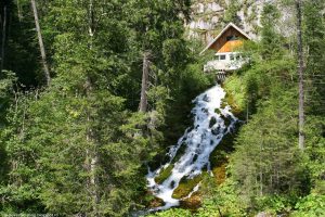 Read more about the article Cele Șapte Izvoare din Munții Bucegi – Elixirul Vieții – apă pură