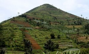 Read more about the article Piramida de la Gunung Padang din Indonezia