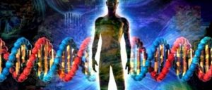Read more about the article Mintea și ADN-ul într-un Univers inteligent