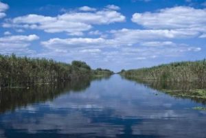 Misterioasa comoară scordisca ascunsă la Dunăre