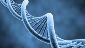 Read more about the article Fericirea, bucuria, inspiraţia, recunoştinţa şi rugăciunea pot activa gene benefice