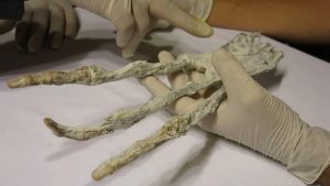 Gheara unui extraterestru a fost descoperită în Peru