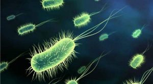 Cum pot bacteriile controla tot ceea ce facem