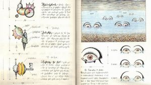 Read more about the article Codex Seraphinianus, enciclopedia unei lumi paralele