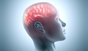 Misterele conştiinţei umane - explicate prin fenomene cuantice: descoperiri recente confirmă o teorie controversată