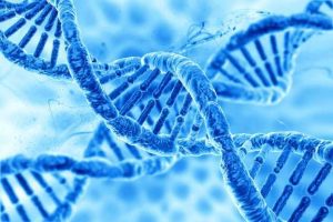 ADN-ul uman conține 223 de gene extraterestre