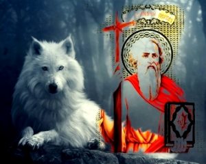 Read more about the article Conexiunile misterioase dintre Apostolul Andrei și „Marele Lup Alb Dacic”