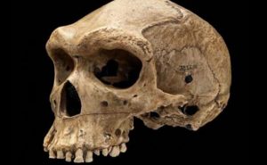 Misterul craniului străvechi cu ”gaură de glonţ”