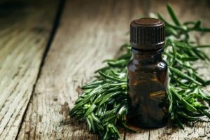 Read more about the article Efectul anticancer al uleiului din arbore de ceai