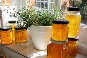 Read more about the article Cum se prepară dulceața de păpădie și în ce afecțiuni o poți folosi