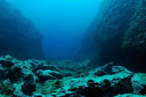 Read more about the article Fenomen neașteptat: fundul Oceanului Planetar se adâncește. Care este cauza fenomenului de tasare?