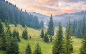 Read more about the article Misterele Apusenilor, cei mai sălbatici munţi din România. Legenda uriaşilor care păzeau comorile lui Decebal