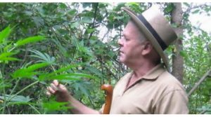 Rețeta de preparare a uleiului de canabis, care vindecă cancerul, prezentată de Rick Simpson. Deși doctorii i-au spus ca nu mai are nicio sansa, Rick Simpson s-a vindecat de cancer cu ajutorul uleiului de canabis. Rick Simpson a fost amenințat și arestat de autoritățile americane, dar nu s-a lăsat intimidat