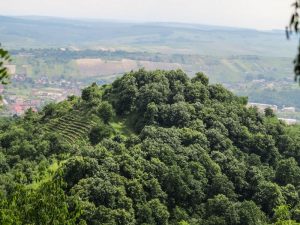 Situl arheologic de pe Măgura Şimleului, din Sălaj, este situl cu cea mai mare densitate de tezaure dacice din ţară, după Sarmizegetusa. 15 tezaure dacice au fost descoperite acolo, cel mai important fiind un tezaur de argint descoperit în 1986, care cântăreşte peste două kilograme