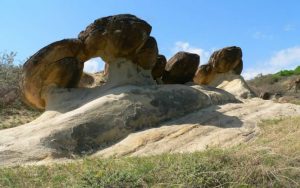 Read more about the article Babele de la Ulmet – pietrele de legendă din Ţara Buzăului