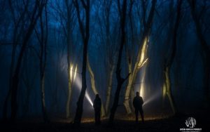 Read more about the article Pădurea Baciu: Secretele celui mai misterios loc din România. Ce se întâmplă în pădurea inclusă în topul celor mai înfricoşătoare din lume