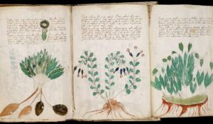 Read more about the article Manuscrisul Voynich: Misterul cărții pe care nimeni nu o poate citi