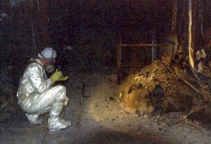Piciorul de elefant de la Cernobîl este considerat ca fiind cel mai periculos deșeu existent în lume
