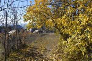 Read more about the article Misterele satului Suhuleț din Iași: Fenomene paranormale și comori ascunse
