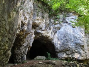 Read more about the article Desene rupestre descoperite în Sălaj