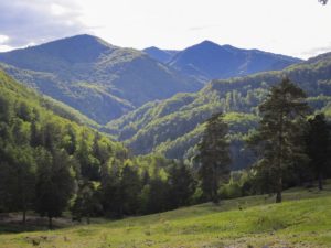 Rețeaua de tuneluri din Munții Vrancei