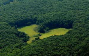 Read more about the article Poiana în formă de inimă, un loc magic creat de natură la poalele Munţilor Apuseni