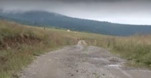 Read more about the article Drumul din Sovata (județul Mureș) unde mașinile merg la deal cu motorul oprit