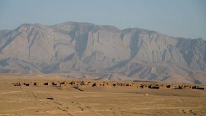 Read more about the article Comoara de un trilion de dolari descoperită în Afganistan