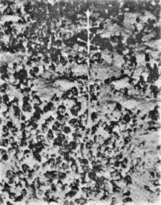Antena Eltanin: Misterul antenei extraterestre descoperite pe fundul Oceanului Atlantic în 1964