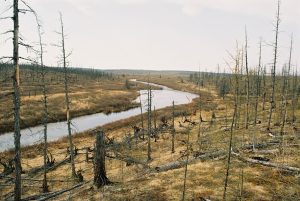 Read more about the article Valea Morții din Siberia, o zonă plină de mistere