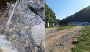 Read more about the article Apa din Munții Dognecei conține coloizi de aur și argint (Caraş-Severin)