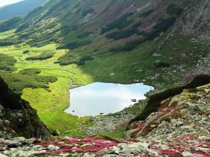 Read more about the article Lacul Iezer din Munții Rodnei are forma României